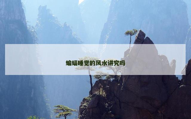 蝙蝠睡觉的风水讲究吗