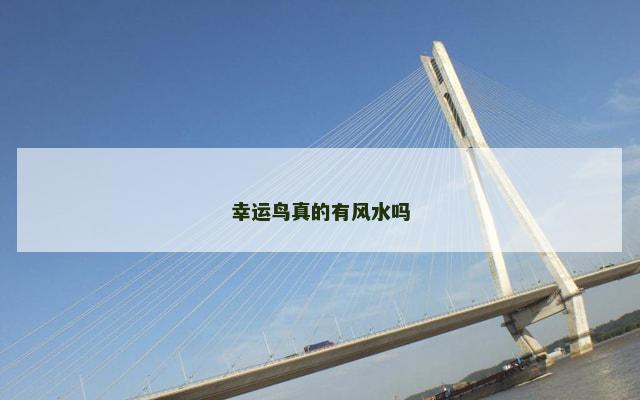 幸运鸟真的有风水吗