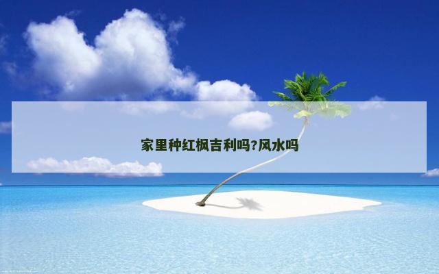 家里种红枫吉利吗?风水吗
