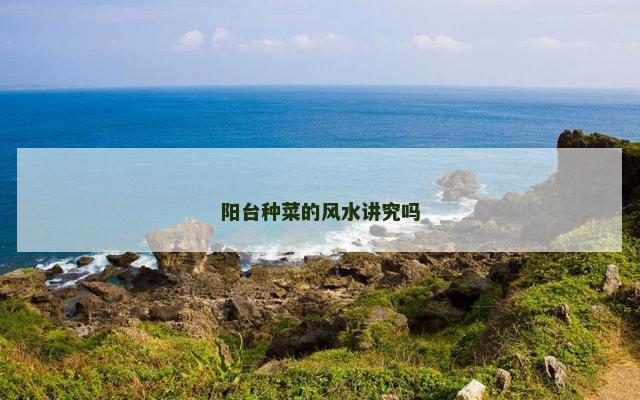 阳台种菜的风水讲究吗