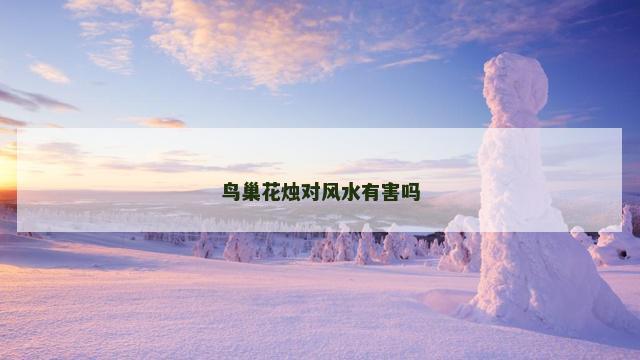 鸟巢花烛对风水有害吗