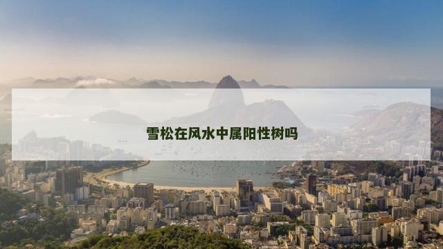 雪松在风水中属阳性树吗