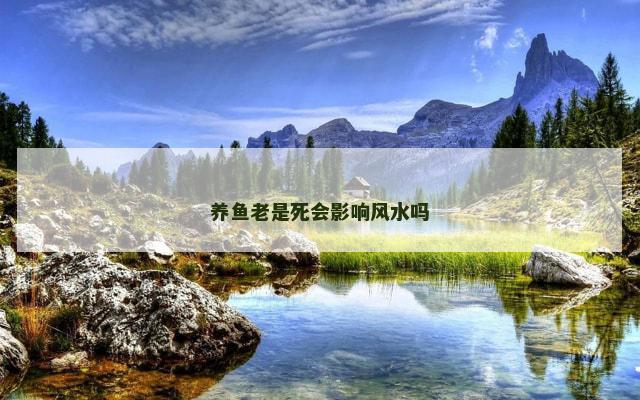 养鱼老是死会影响风水吗
