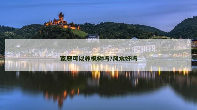 家庭可以养枫树吗?风水好吗