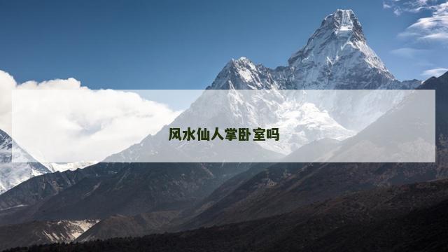 风水仙人掌卧室吗
