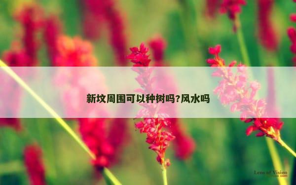 新坟周围可以种树吗?风水吗