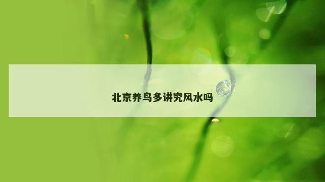 北京养鸟多讲究风水吗