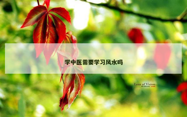 学中医需要学习风水吗