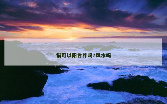 猫可以阳台养吗?风水吗