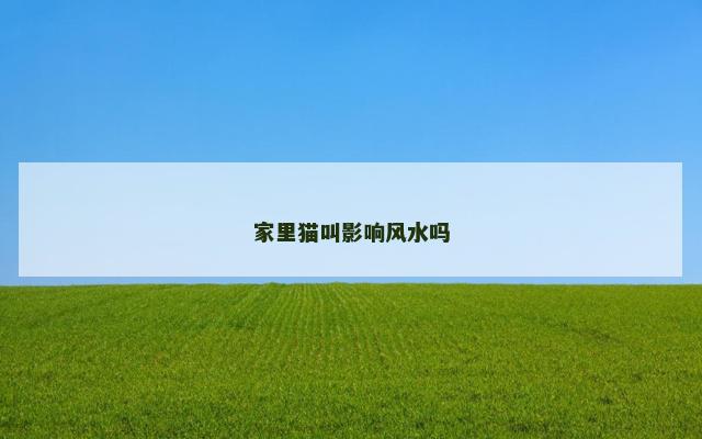 家里猫叫影响风水吗