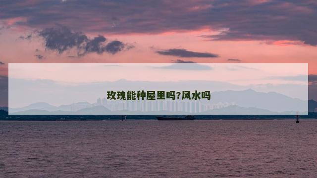 玫瑰能种屋里吗?风水吗