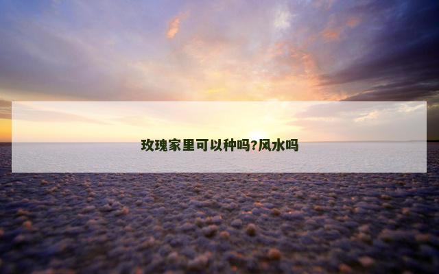 玫瑰家里可以种吗?风水吗