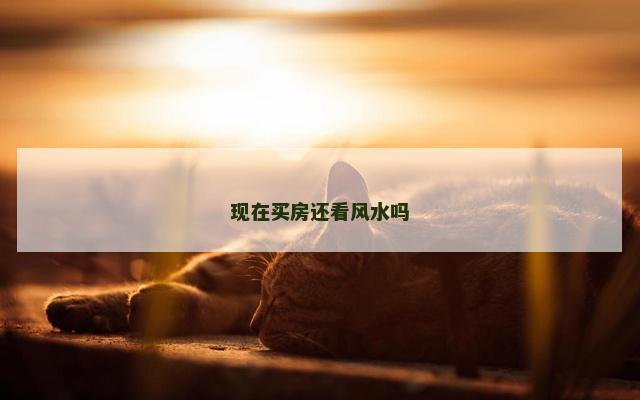 现在买房还看风水吗