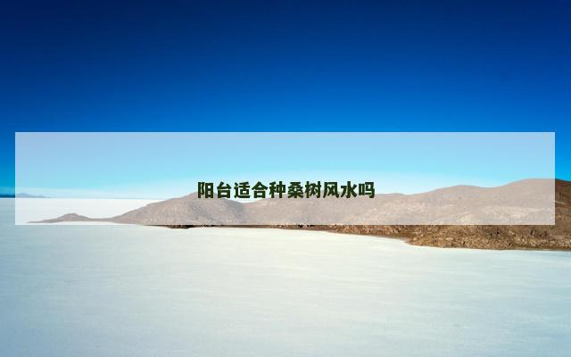 阳台适合种桑树风水吗