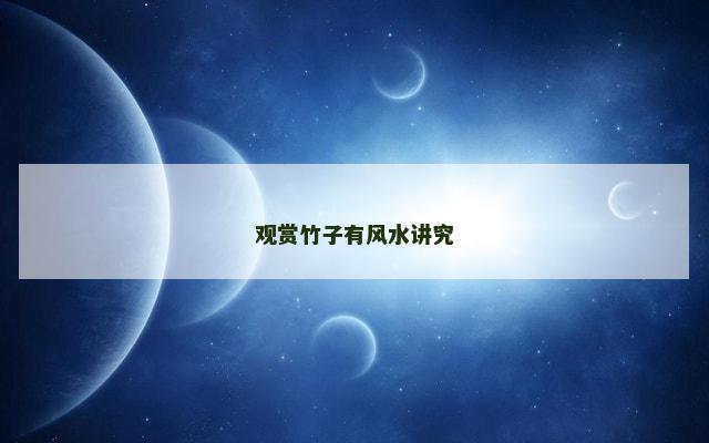 观赏竹子有风水讲究