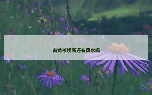 南龙被切断还有风水吗