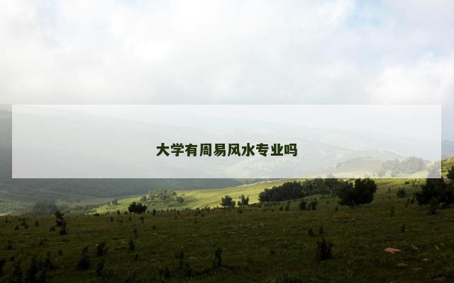 大学有周易风水专业吗