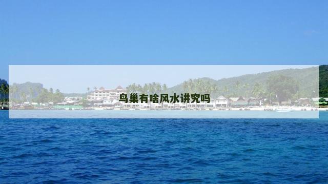 鸟巢有啥风水讲究吗