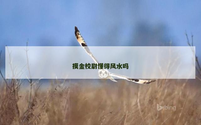 摸金校尉懂得风水吗