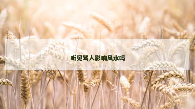 听见骂人影响风水吗