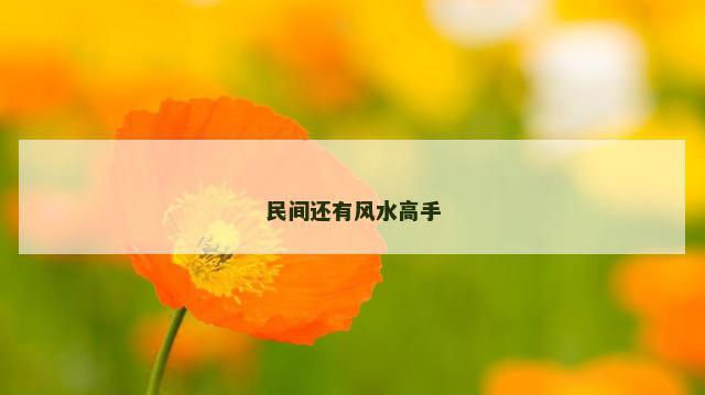 民间还有风水高手