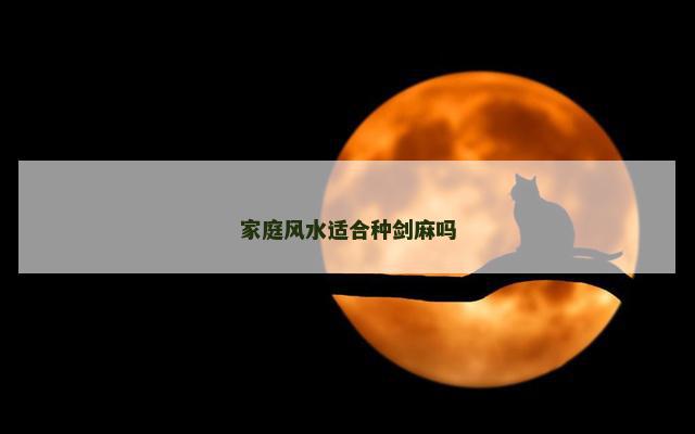 家庭风水适合种剑麻吗