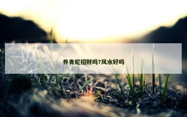 养青蛇招财吗?风水好吗