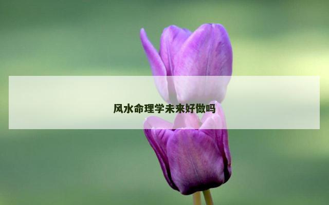 风水命理学未来好做吗
