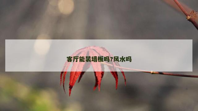 客厅能装墙板吗?风水吗