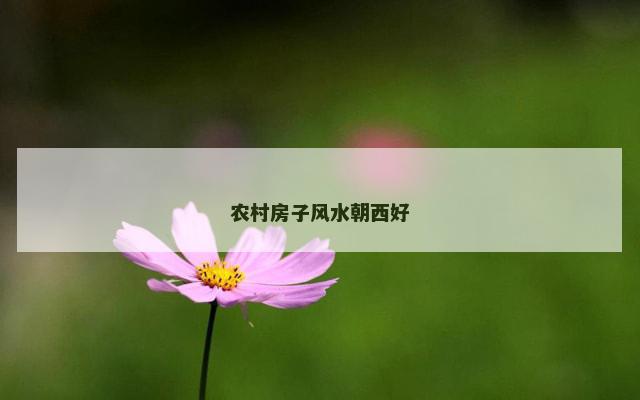 农村房子风水朝西好