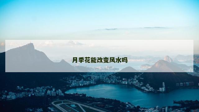 月季花能改变风水吗
