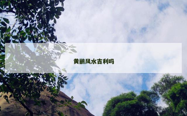 黄鹂风水吉利吗