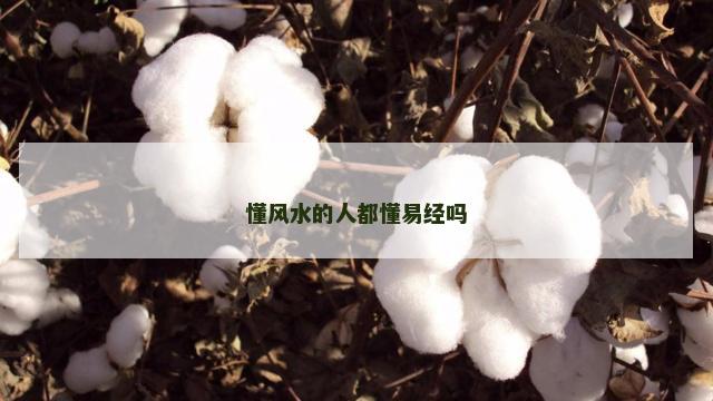 懂风水的人都懂易经吗