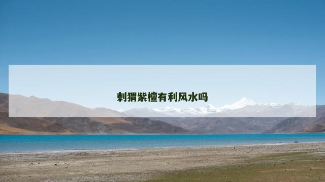 刺猬紫檀有利风水吗