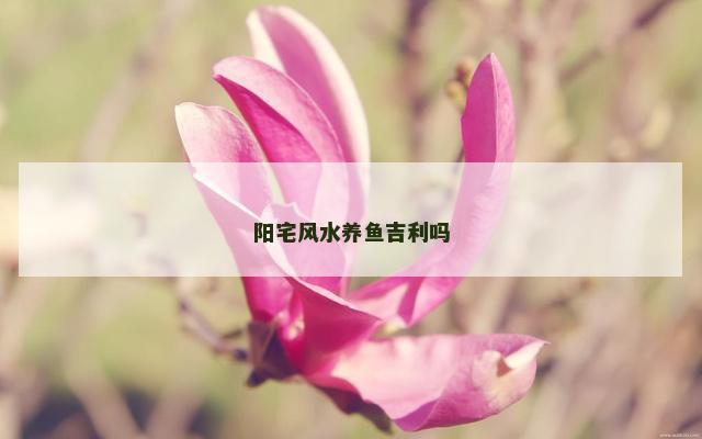 阳宅风水养鱼吉利吗