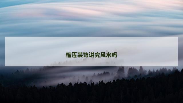 榴莲装饰讲究风水吗