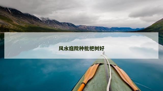 风水庭院种枇杷树好