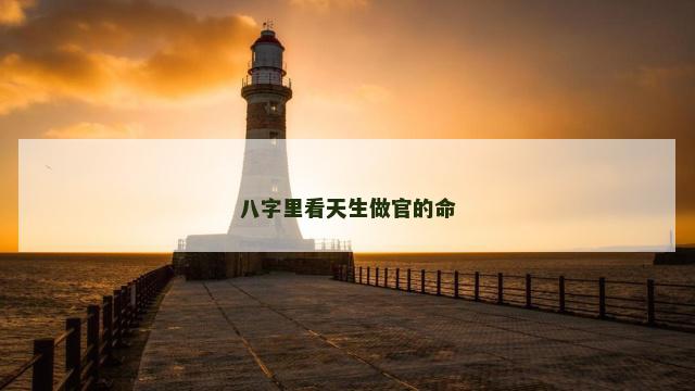 八字里看天生做官的命