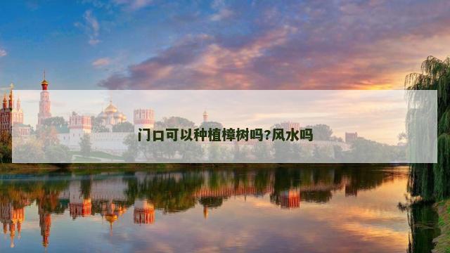 门口可以种植樟树吗?风水吗