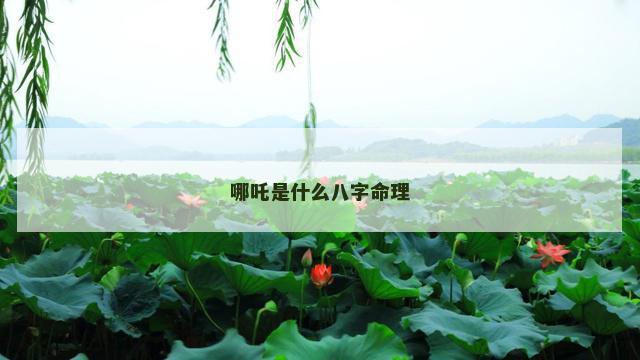 哪吒是什么八字命理