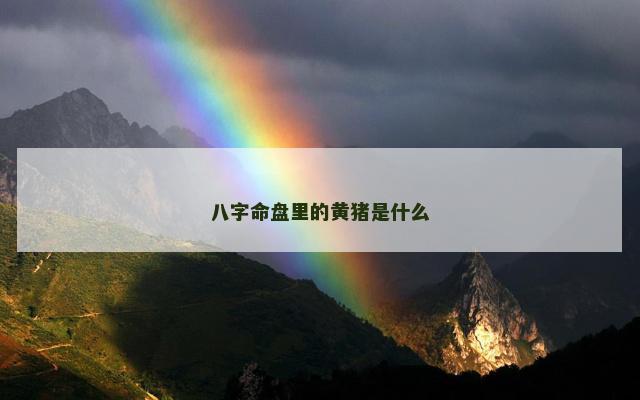 八字命盘里的黄猪是什么