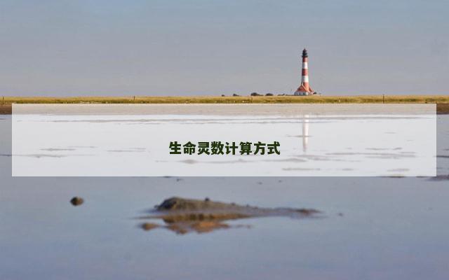 生命灵数计算方式