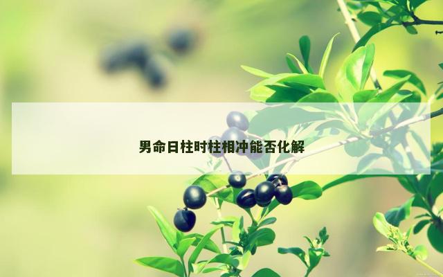 男命日柱时柱相冲能否化解
