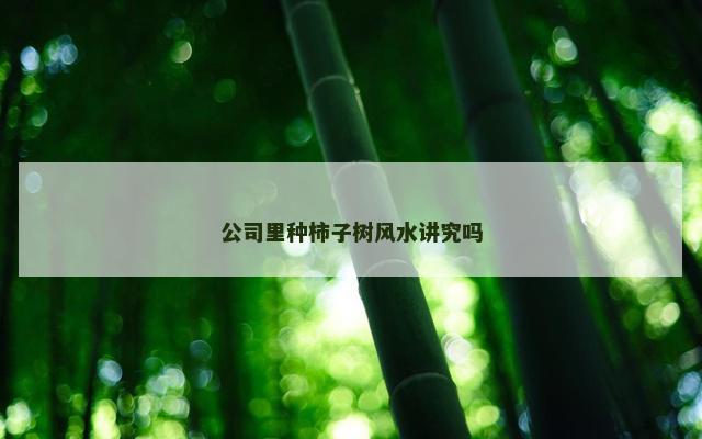 公司里种柿子树风水讲究吗