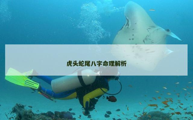 虎头蛇尾八字命理解析