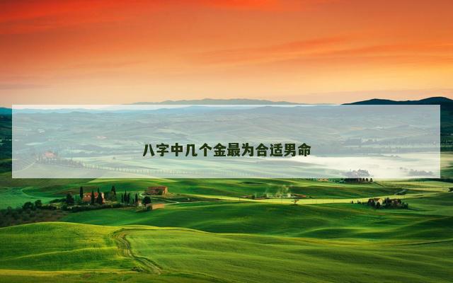 八字中几个金最为合适男命
