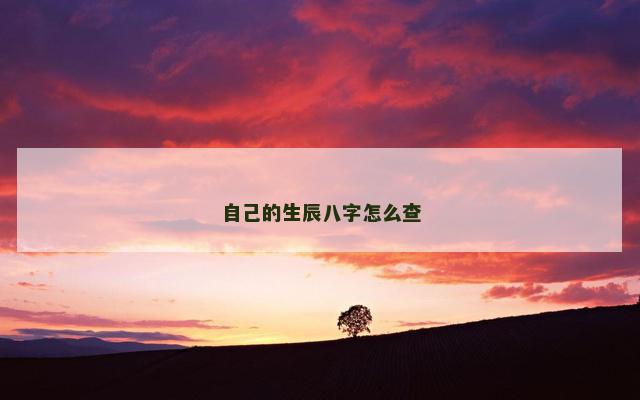 自己的生辰八字怎么查