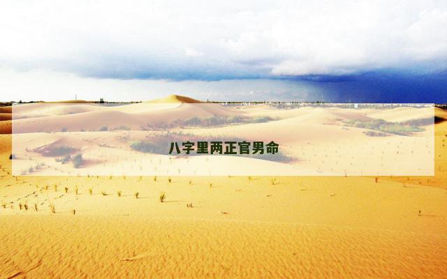 八字里两正官男命