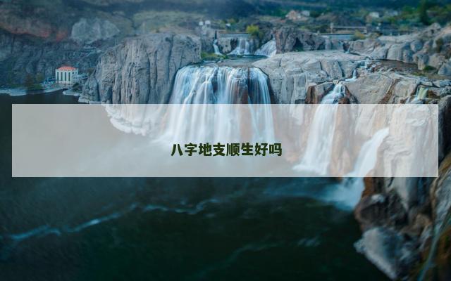 八字地支顺生好吗