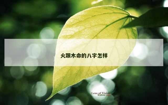 火跟木命的八字怎样